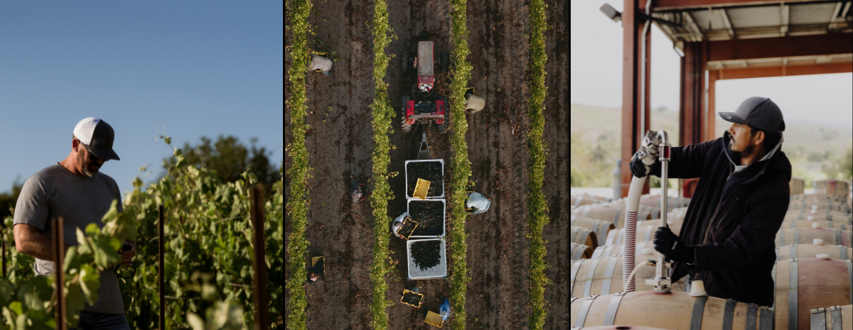 2026 Industry Update: Grape Markets, Grower Resources & What's Ahead